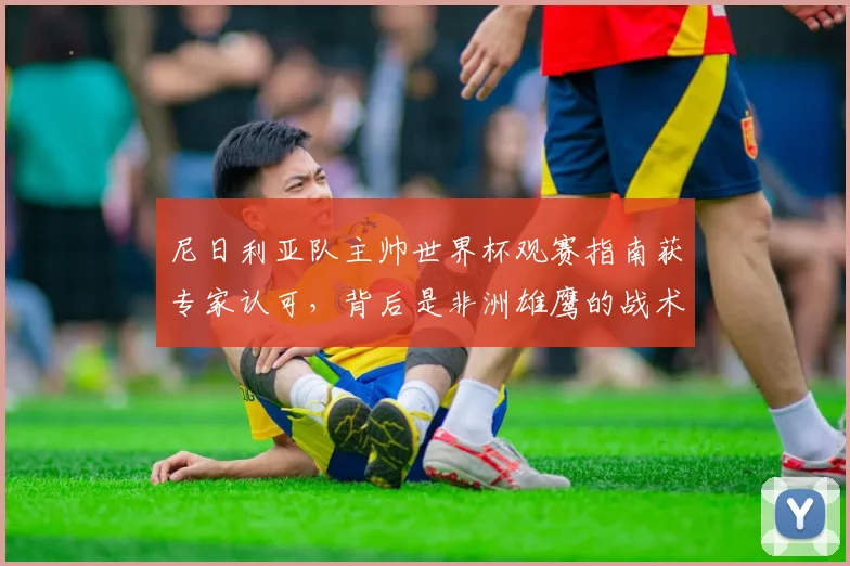 尼日利亚队主帅世界杯观赛指南获专家认可，背后是非洲雄鹰的战术革新
