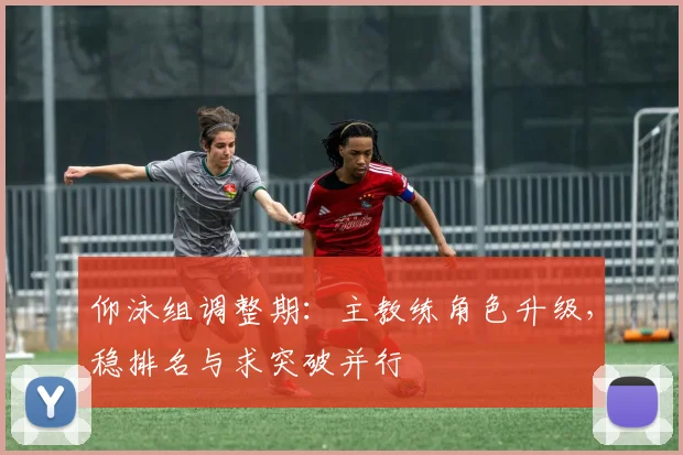 仰泳组调整期：主教练角色升级，稳排名与求突破并行