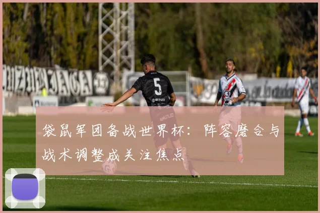 袋鼠军团备战世界杯：阵容磨合与战术调整成关注焦点